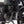 MASH BRITISH SEVEN LC 125