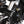 MASH BLACK SEVEN LC 125