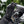 MERLIN - BEREA D3O® TRAIL GLOVE