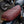 POULSON  X BSA GOLD STAR SCRAMBLER Highland Green Build
