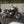 POULSON  X BSA GOLD STAR SCRAMBLER Highland Green Build