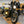 BSA Legacy custom - Fog light