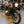 BSA Legacy custom - Fog light