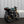 Triumph - Thruxton