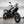 MOTO MORINI X-CAPE