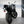 MOTO MORINI X-CAPE