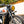 POULSON Gold Star Scrambler front Mud Guard