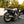Silver Poulson Scrambler