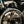 POULSON  X BSA GOLD STAR SCRAMBLER Highland Green Build