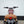 Bonneville T100 _ T120s - TED