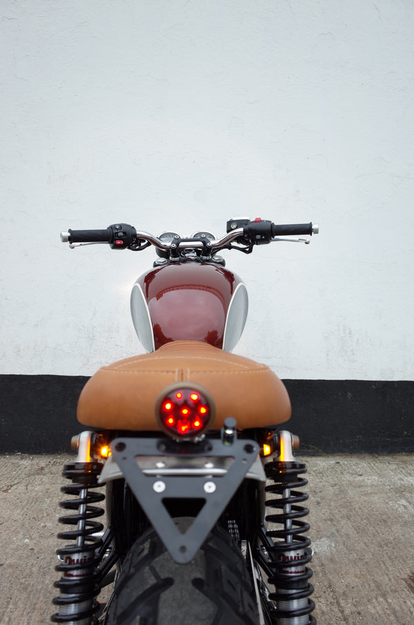 Bonneville T100 _ T120s - TED