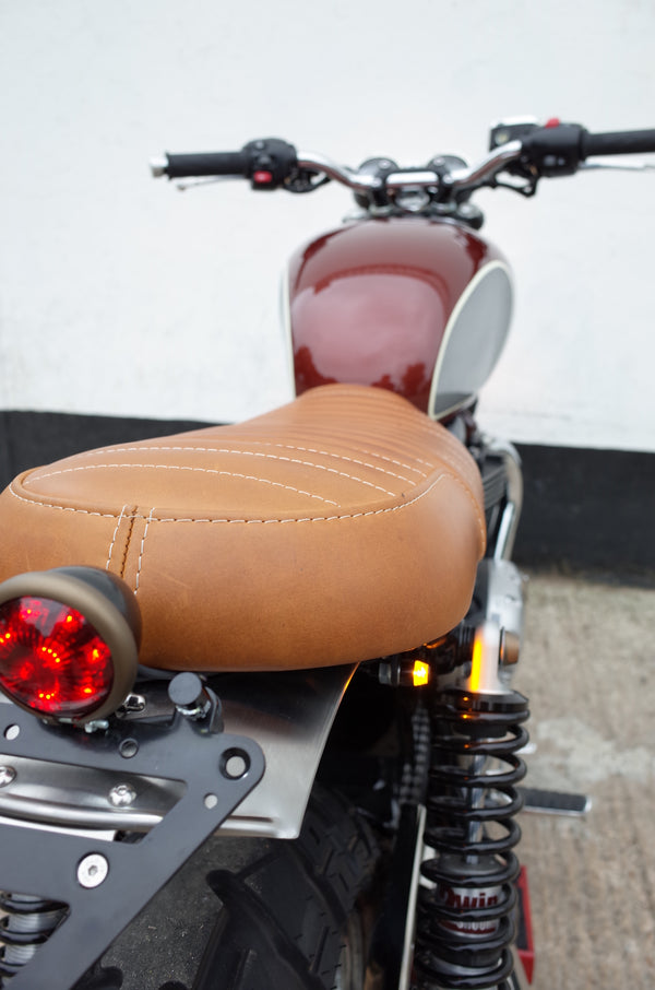 Bonneville T100 _ T120s - TED