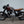 Bonneville T100 _ T120s - TED