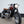 Bonneville T100 _ T120s - TED