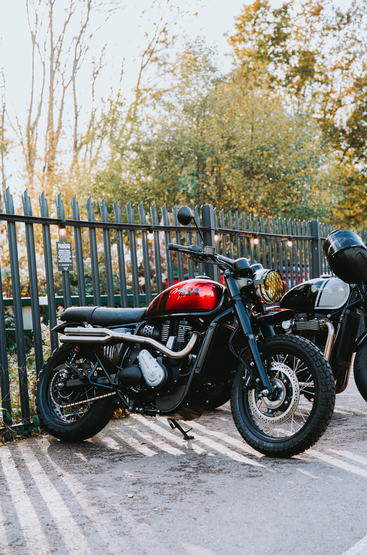 BSA Scrambler SPECTRE Edition BUILD