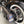 Bolt Lights for Number Plate License Plate - LED - Black