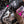 Muc-Off Motorcycle Care Duo Kit