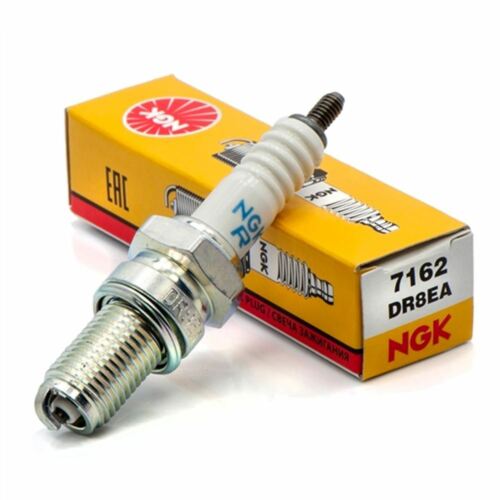 Motorcycle Parts - Spark Plug - NGK - DR8EA